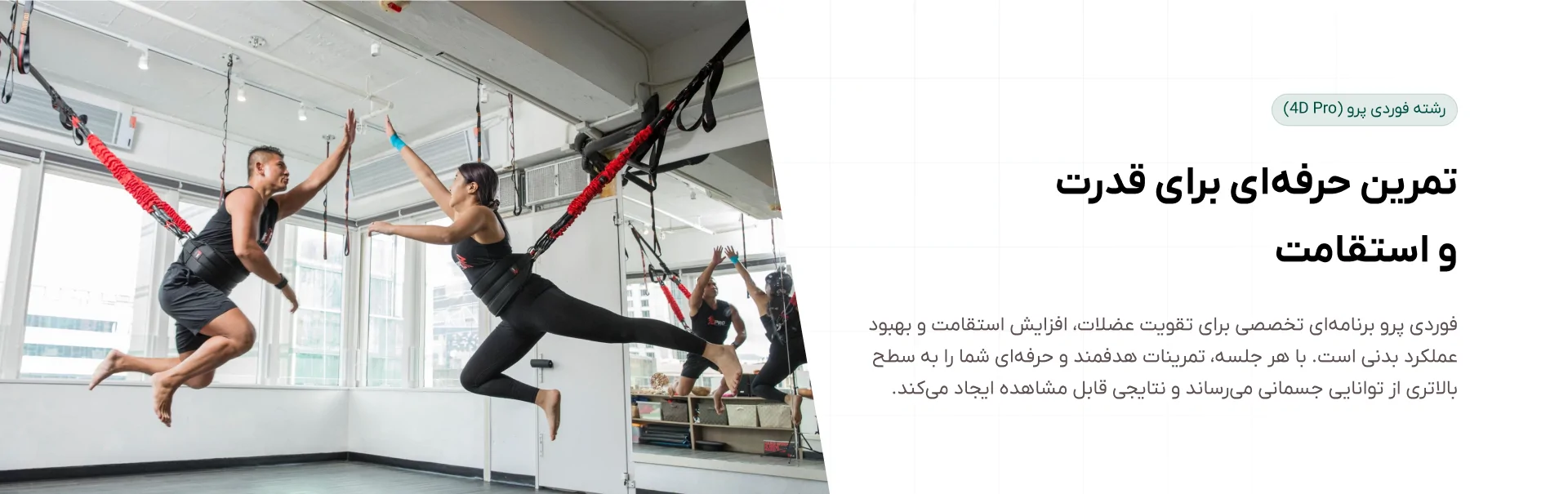 فوردی پرو (4DPro)